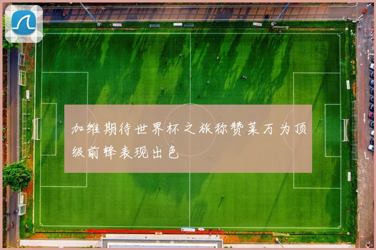 加维期待世界杯之旅称赞莱万为顶级前锋表现出色